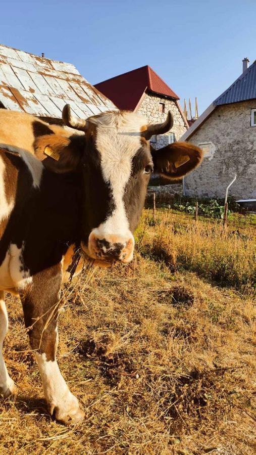 Natura As Gornji Lukomir Buitenkant foto