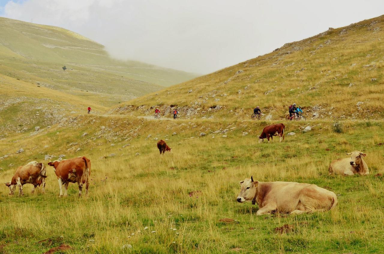 Natura As Gornji Lukomir Buitenkant foto
